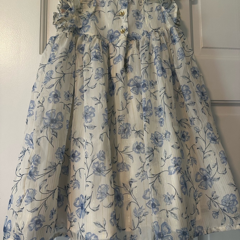 Floral Blue and White Dress - Picture 6 of 12
